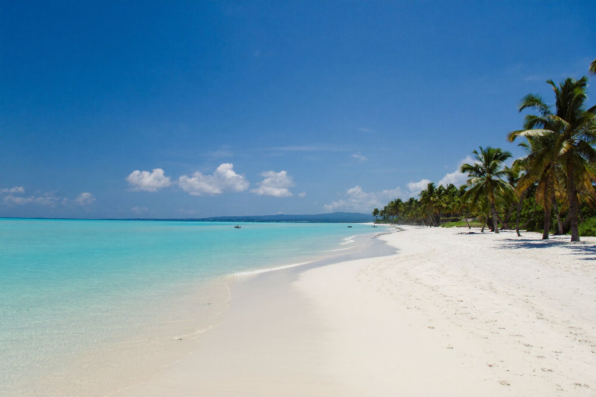 An empty palm-lined beach on an Out Island